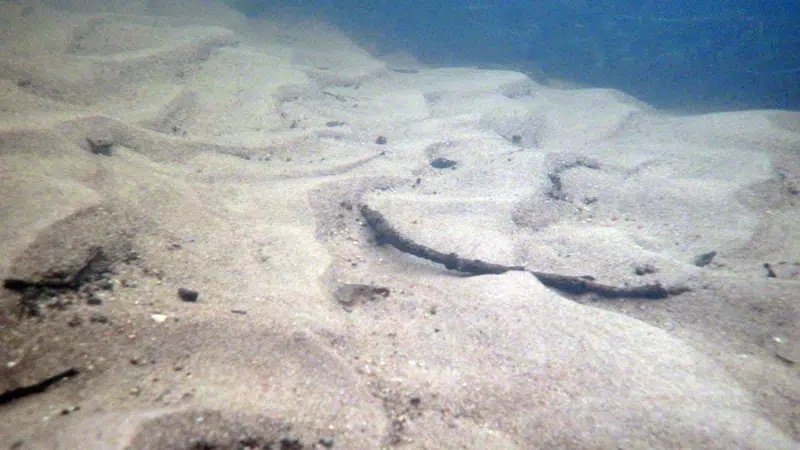 Undervandsfoto, der viser sand på vej ned ad åen